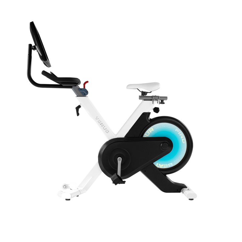 VENUS-B2智能单...